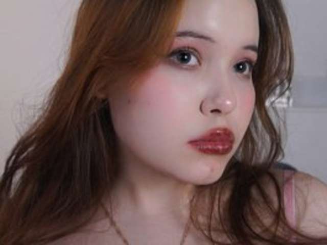 DIVA-ICE amateur webcam photo
