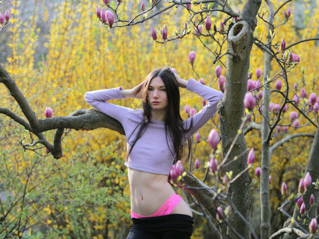 free sexy photo